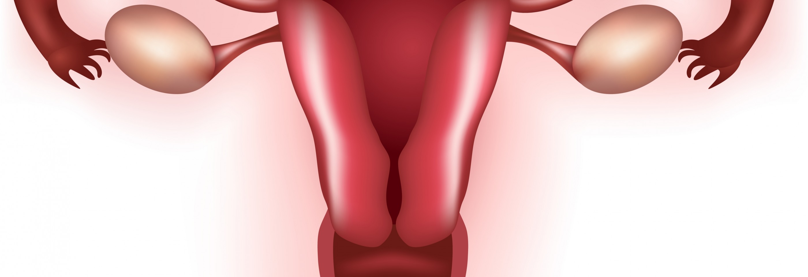 Полипы на яичнике у женщин. Болит правая сторона яичников