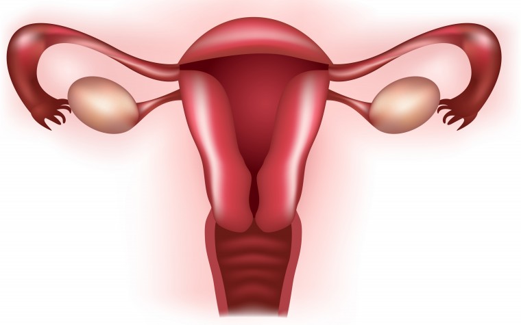 uterine fibrosis, adhesions