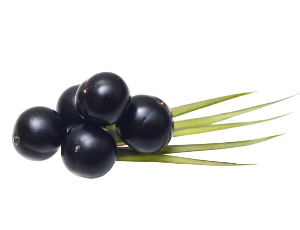 Açaí palm extract