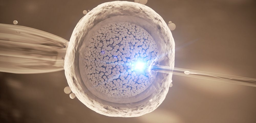 Waiting At Least 7 Months After Laparoscopy Boosts IVF Success Rates, Study Shows