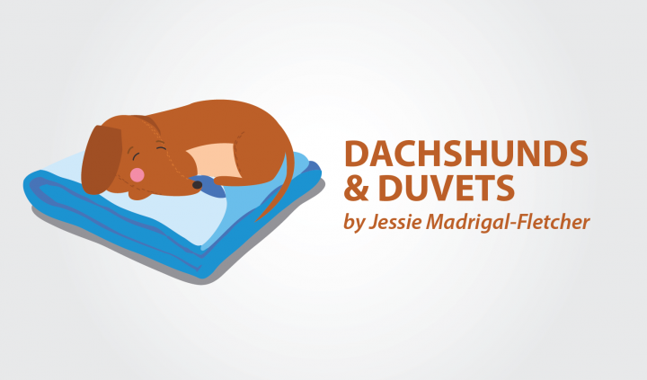 Dachshunds & Duvets – a column by Jessie Madrigal-Fletcher