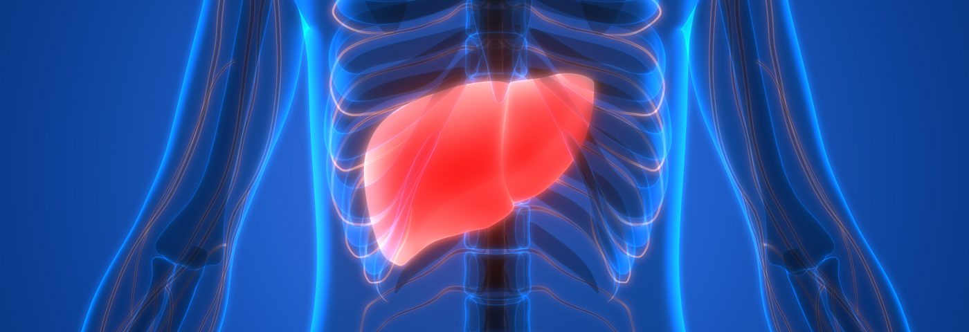 Why Is Liver Health Important for Endometriosis?