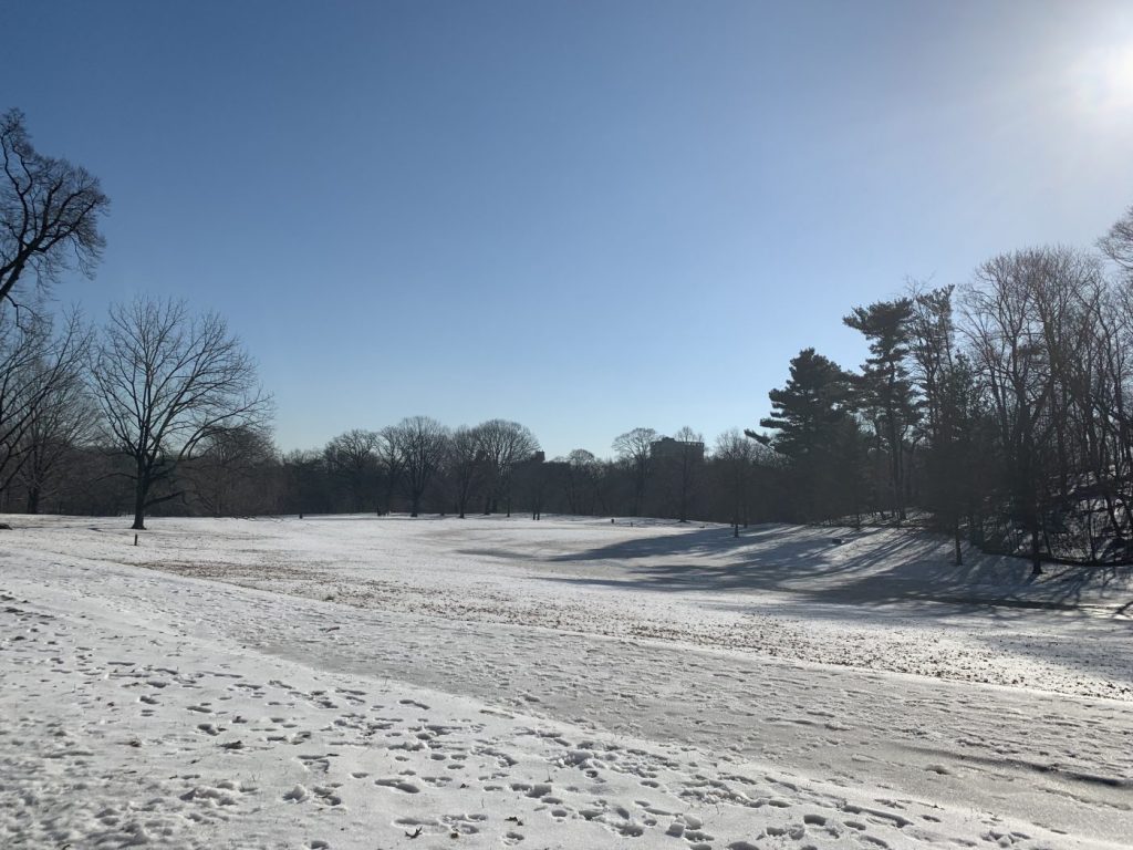 Prospect park in the snow