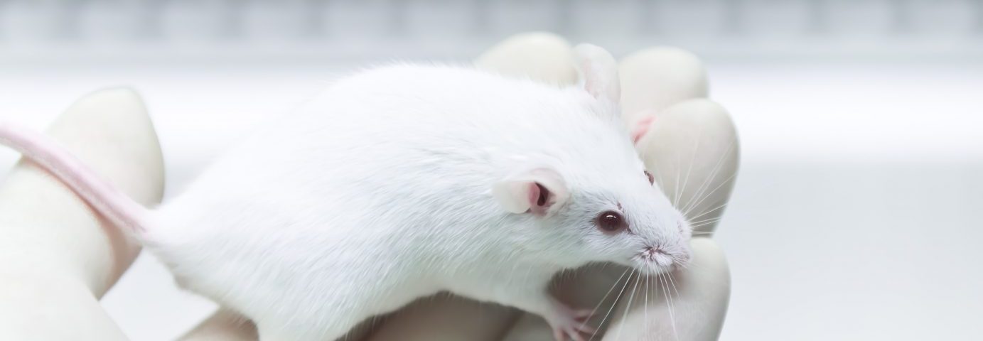 Blocking Bone Marrow Cell Movement May Be Non-Hormonal Treatment Strategy, Study in Mice Suggests