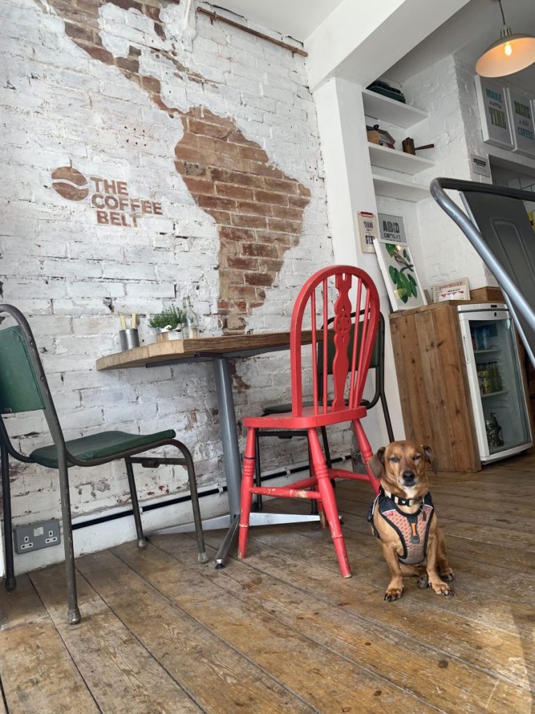 Dog in a cafe