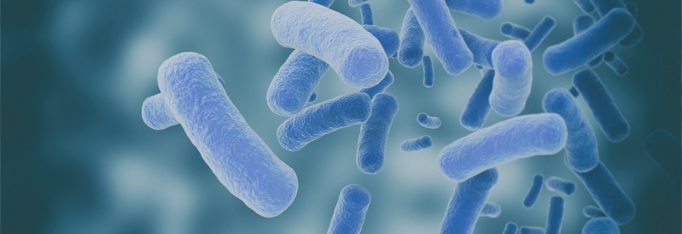 Bacteria Composition Changes Along the Reproductive Tract of Women with Endometriosis, Study Finds