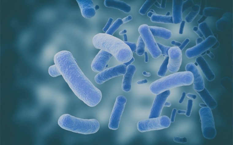 Bacteria Composition Changes Along the Reproductive Tract of Women with Endometriosis, Study Finds